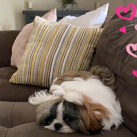 Meet your Posher, Cathy - Picture 2 of 4